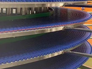 Accompagnement de Tanghe Food dans la création d’une unité de production boulangère automatisée de 20 000 tonnes par an