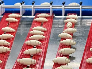 Accompagnement de Tanghe Food dans la création d’une unité de production boulangère automatisée de 20 000 tonnes par an