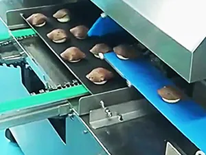 Dresseuse pocheuse pâtisserie